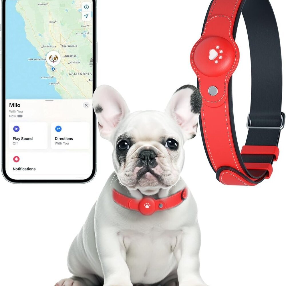 2-in-1 GPS Tracker for Dogs&Cats